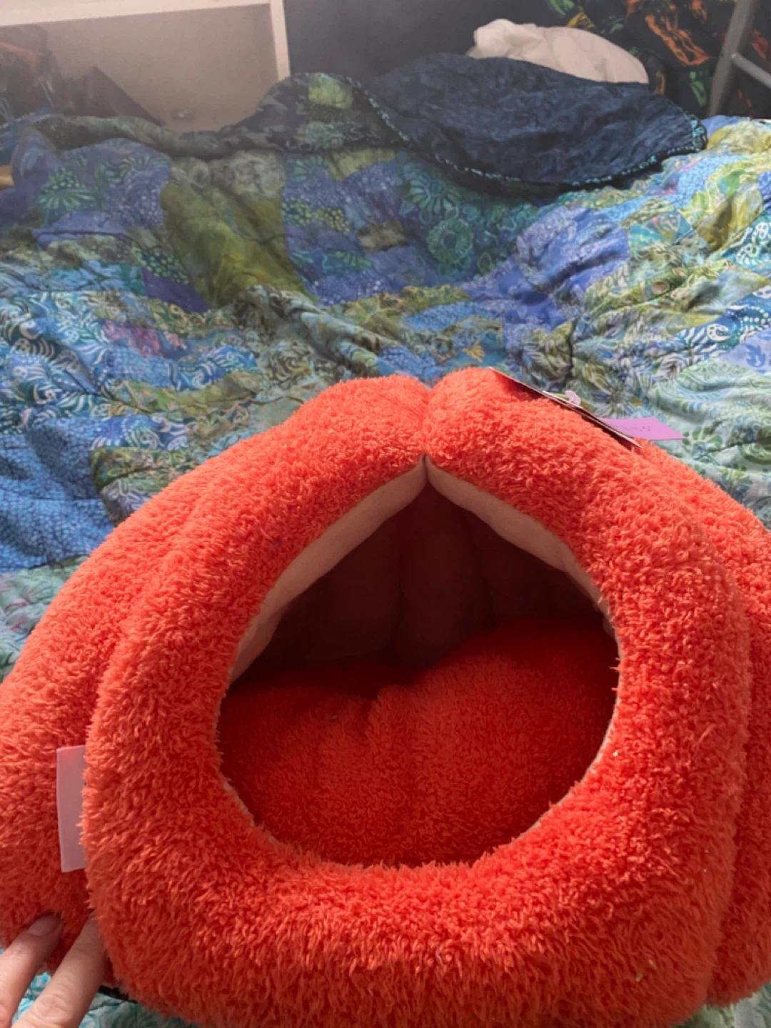 Plush Pumpkin Pet Bed - photo 2