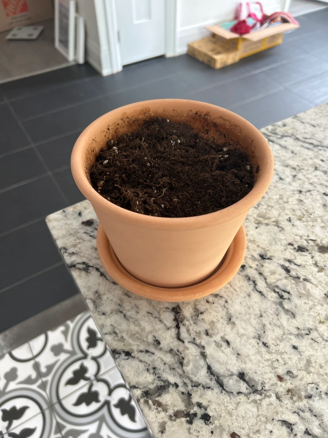 Terracotta Pot with Saucer from IKEA