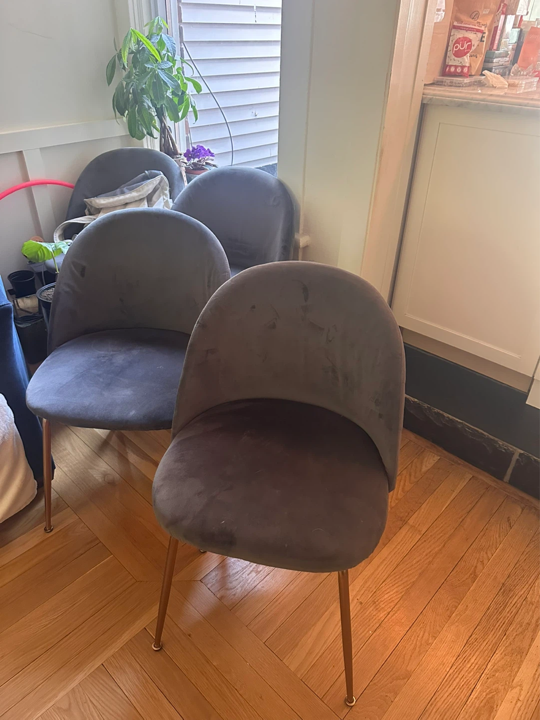 Grey Velvet Dining Chair with Gold Legs