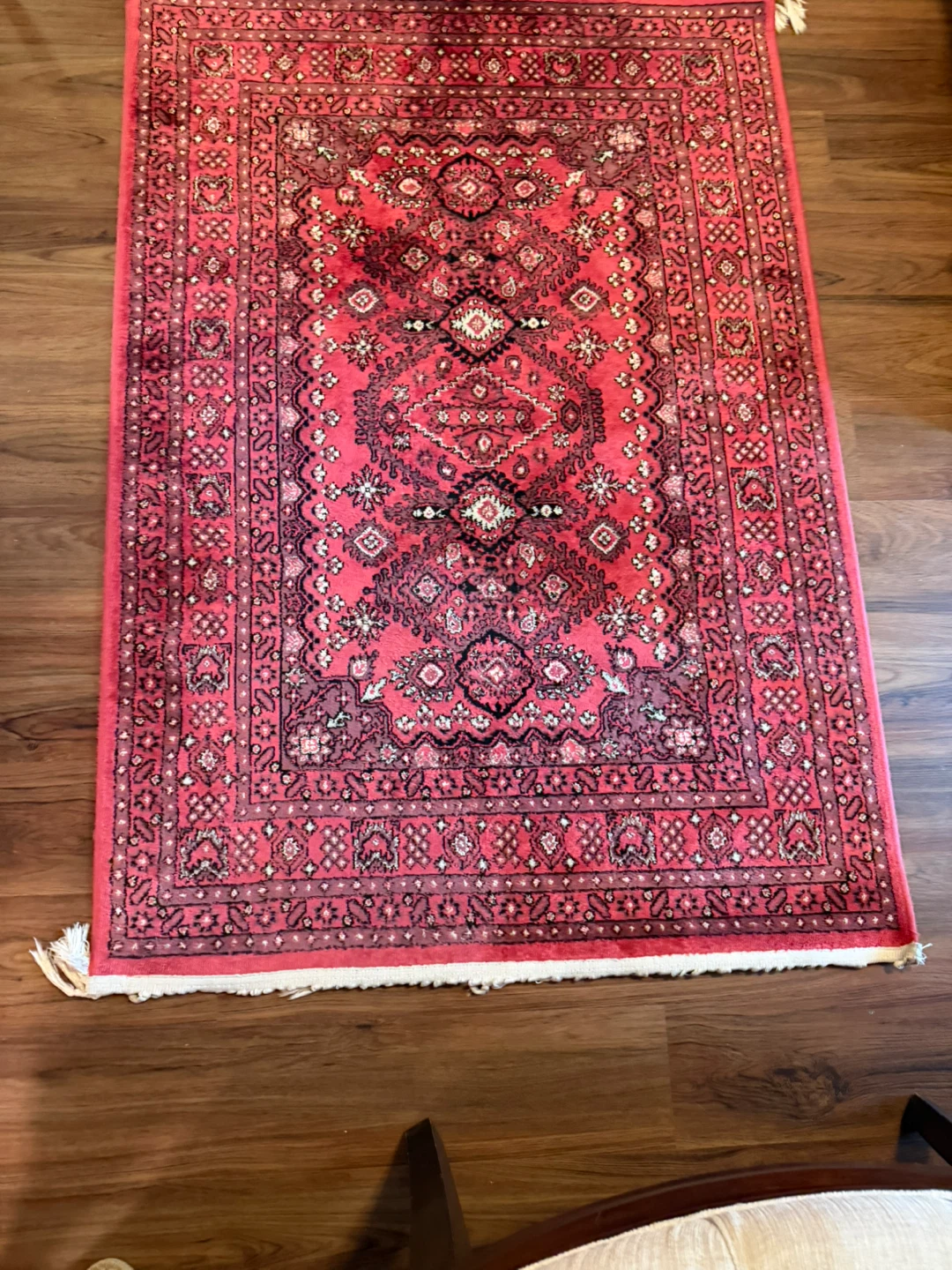 Persian Style Red Area Rug