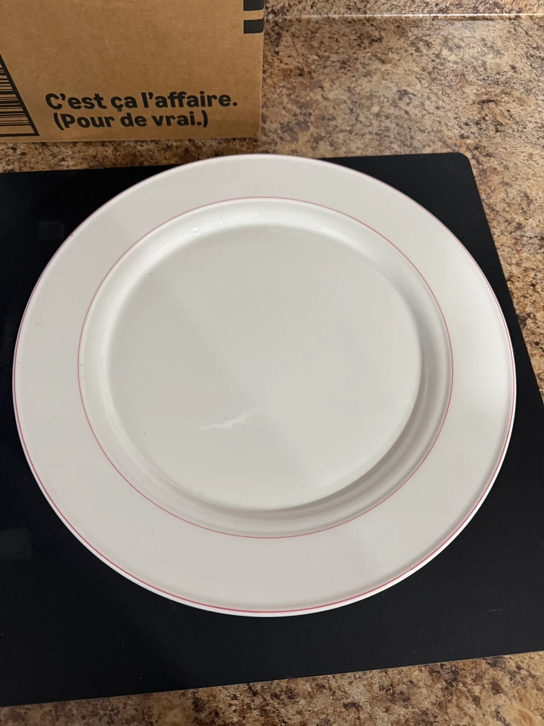 Grosvenor Petite Fine China Plate 6 plates