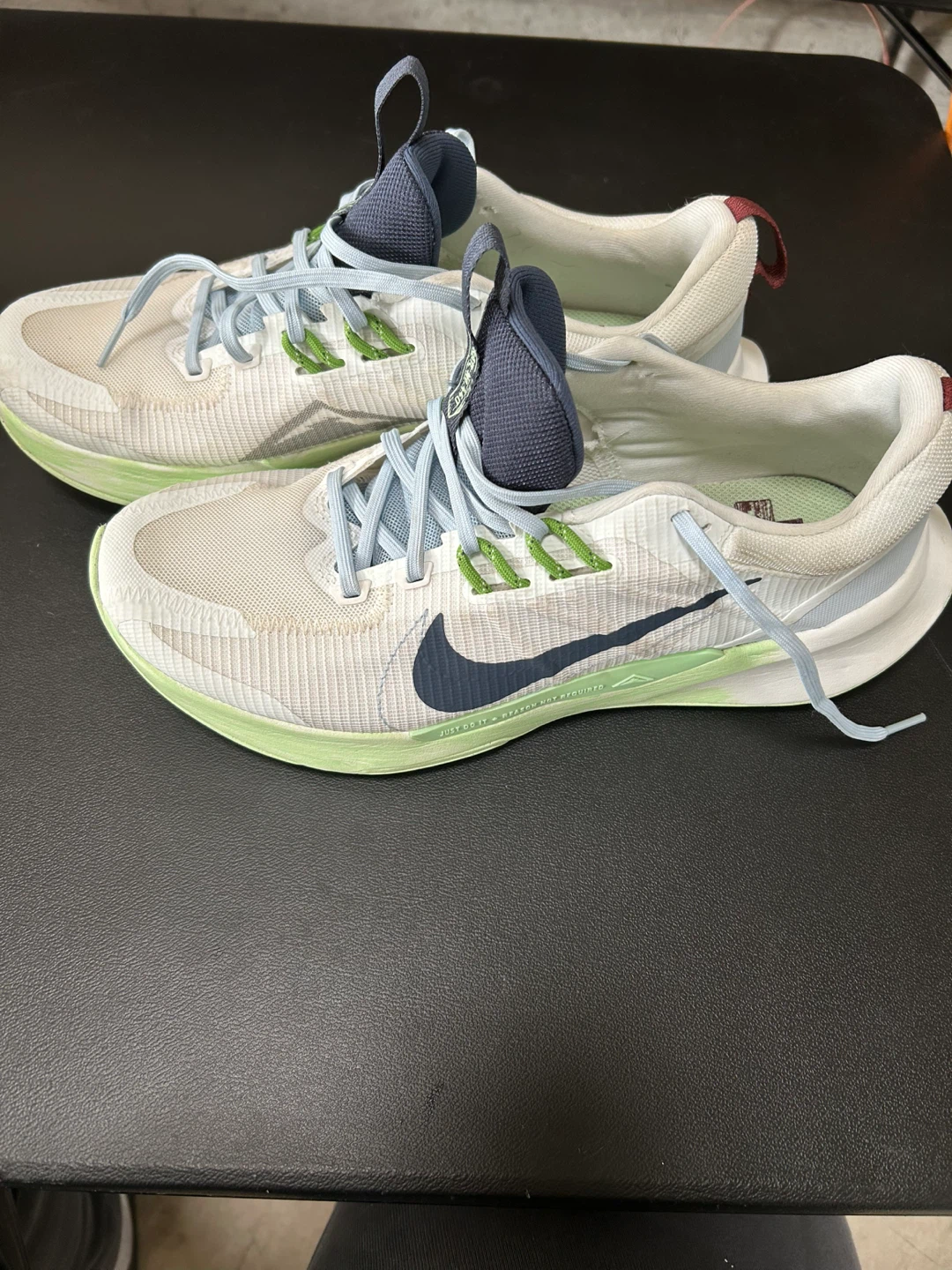 Nike Pegasus Trail 4 GTX Men's Running Shoes