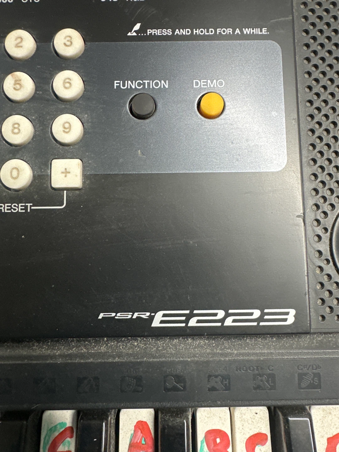 PSR E223