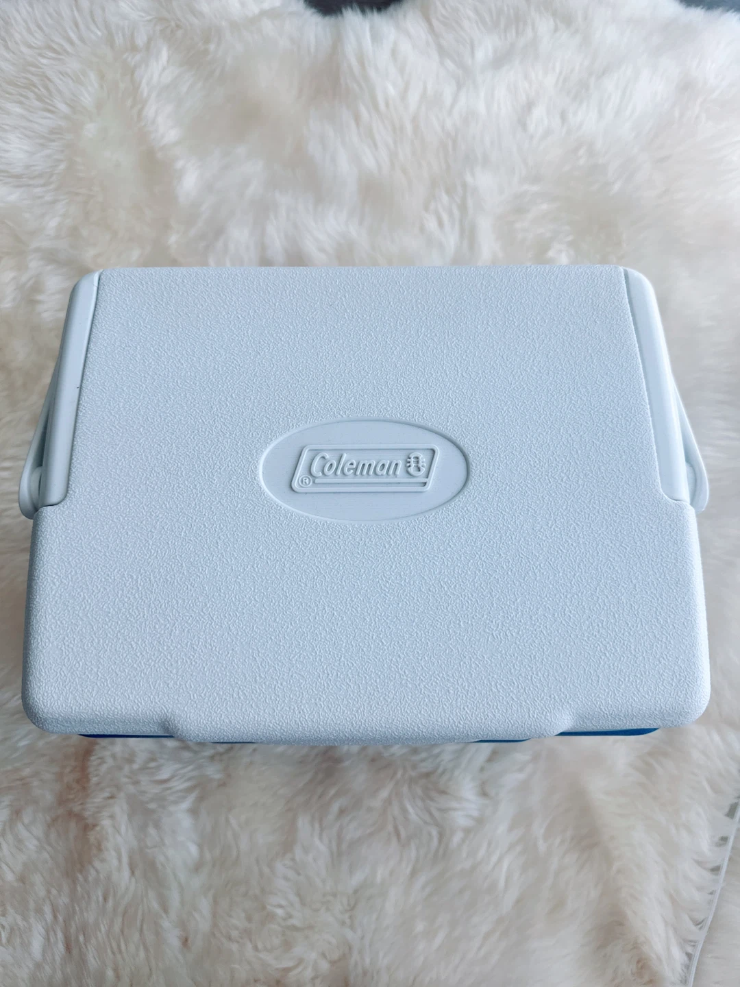 Coleman 9 Qt Personal Cooler - photo 4