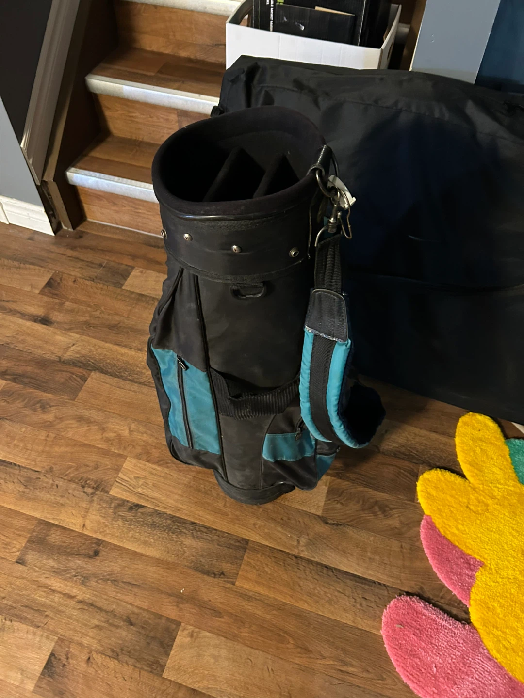 Mizuno Golf Bag