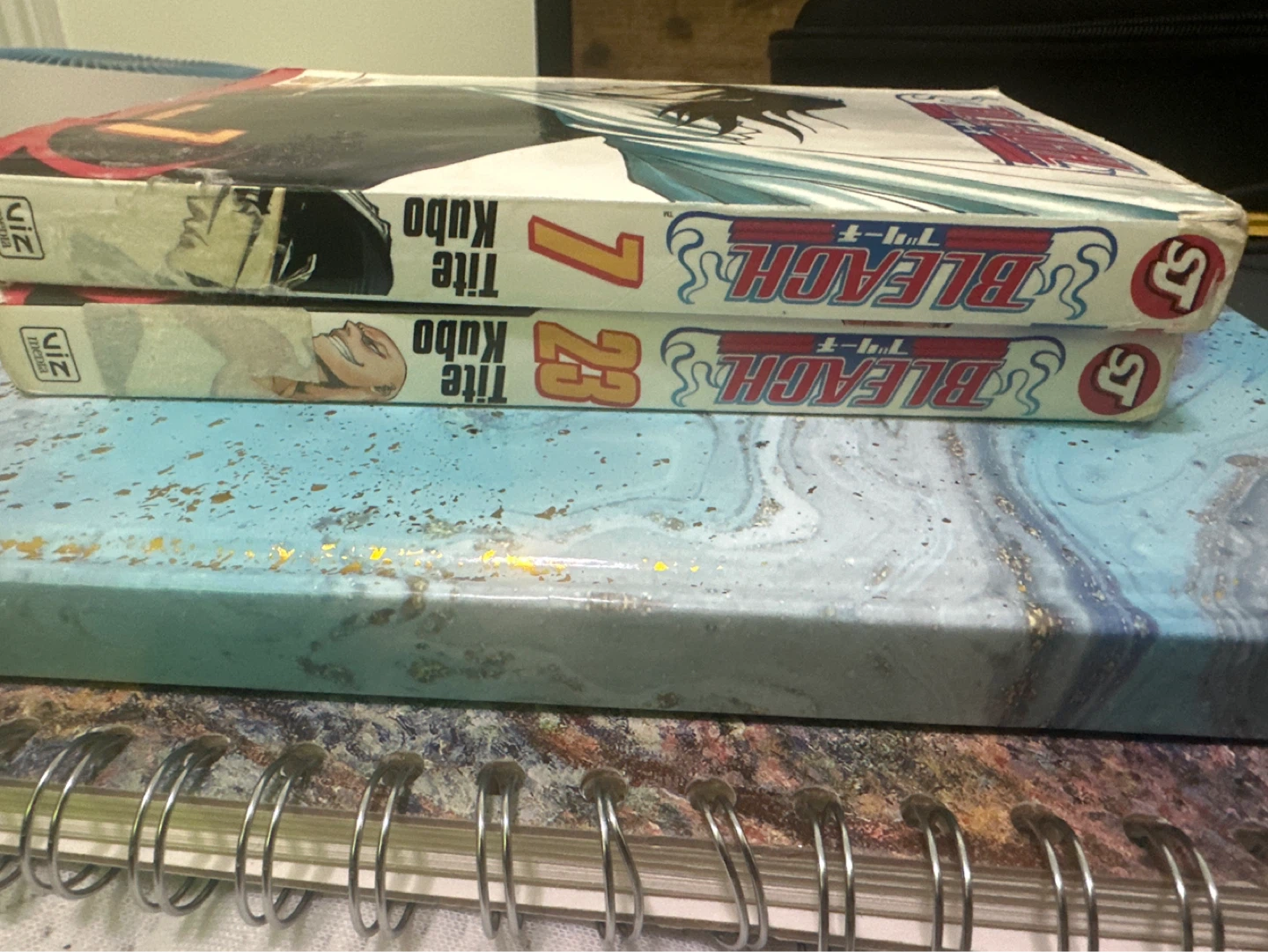 Bleach Manga Volumes 1 & 23