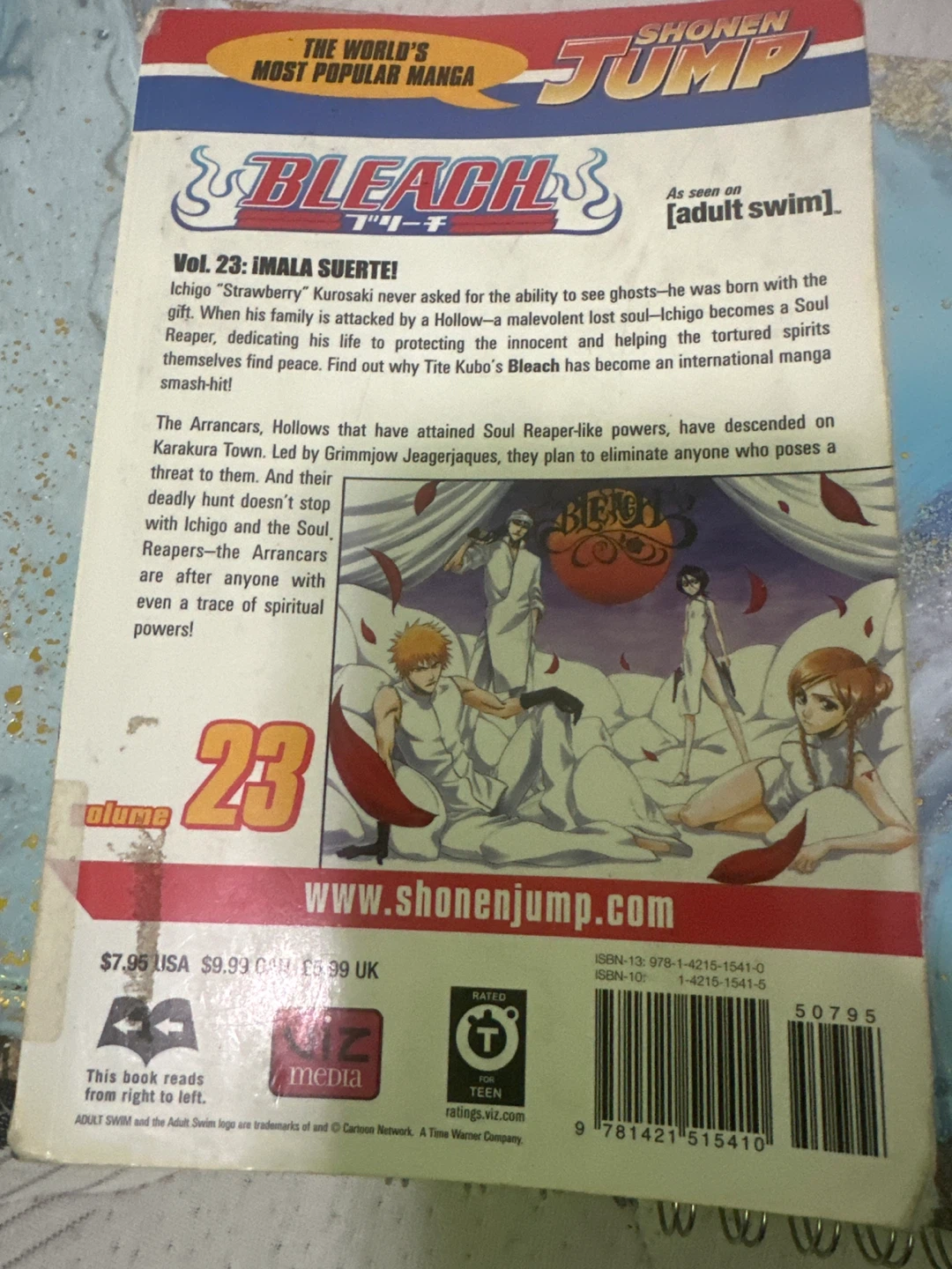 Bleach Manga Volumes 1 & 23 - photo 5