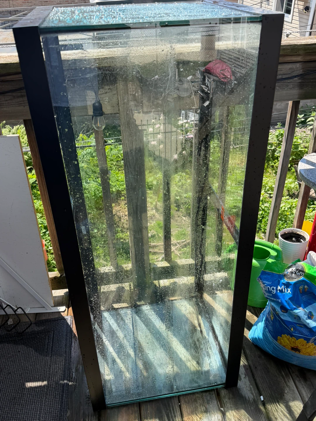 75 gallon tank