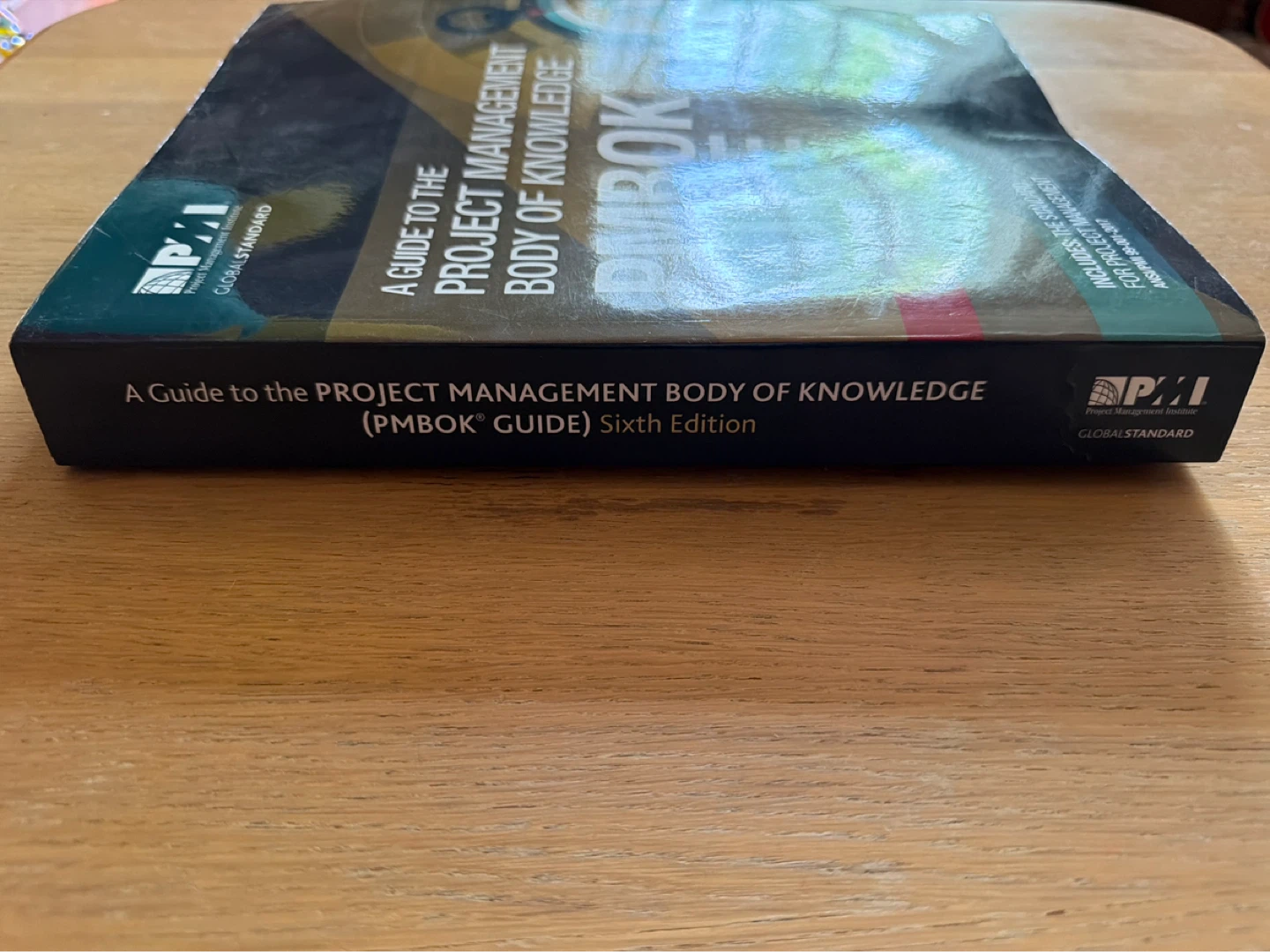 PMBOK Guide Sixth Edition - photo 3