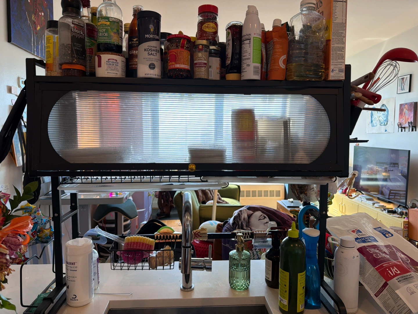 Kitchen Sink Shelf Organizer
