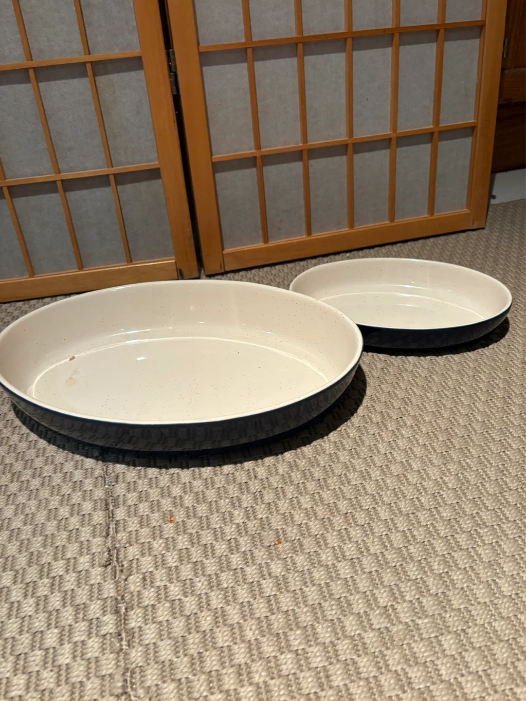 Set of 2 Oval Baking Dishes