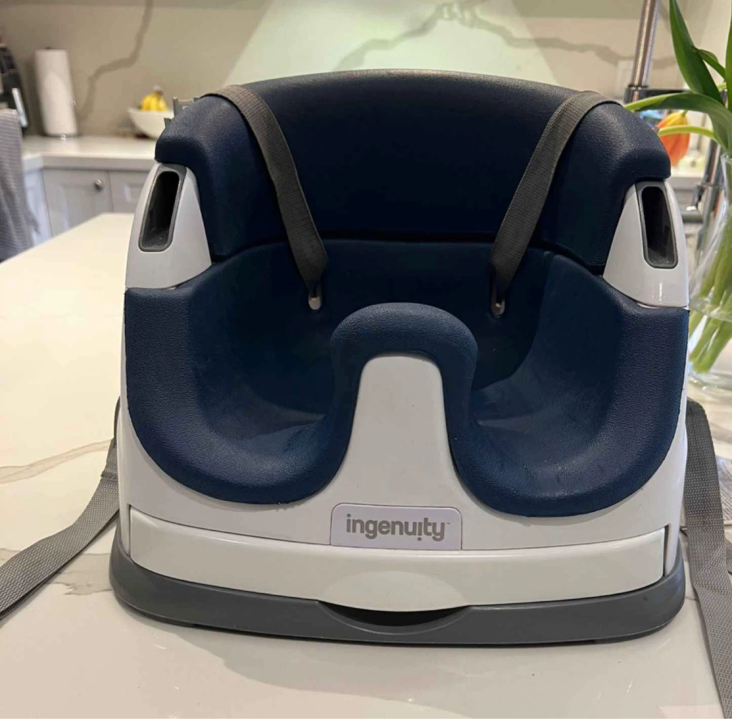 Ingenuity Baby Booster Seat