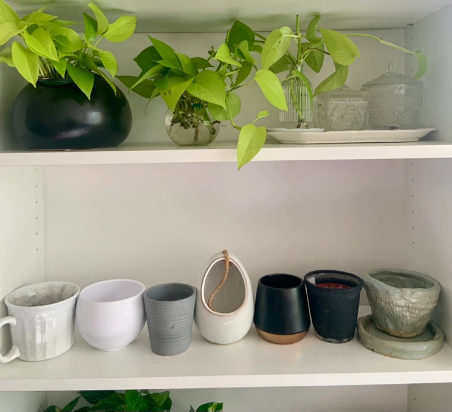 7 assorted plant pots