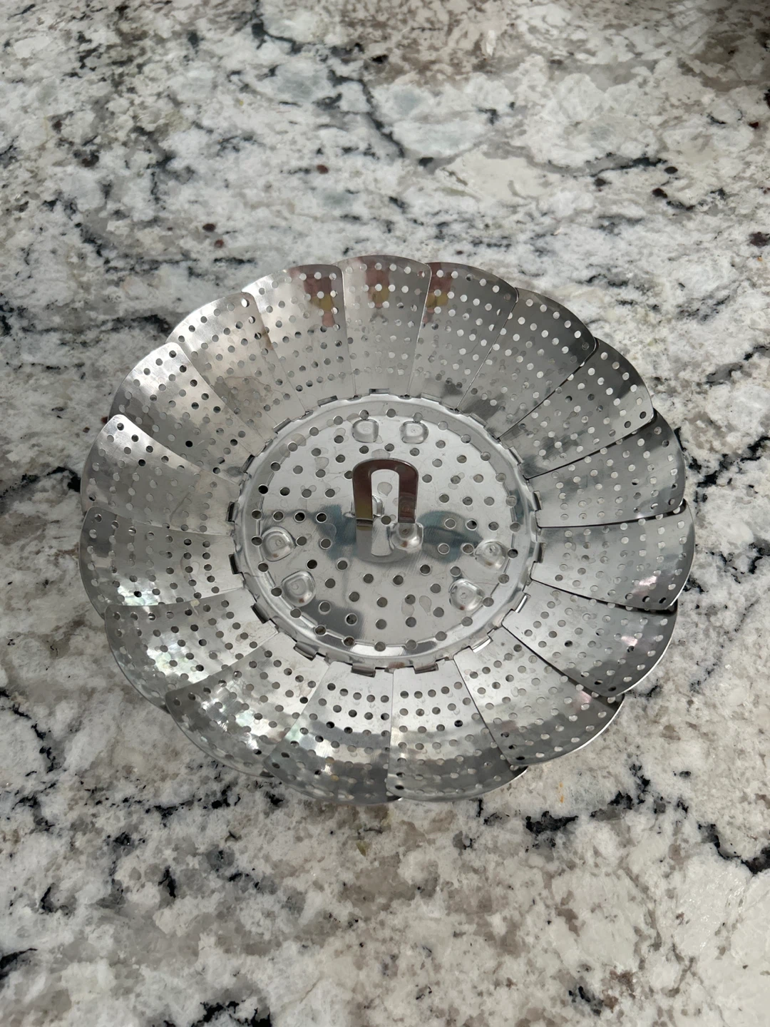 Expandable Steamer Basket