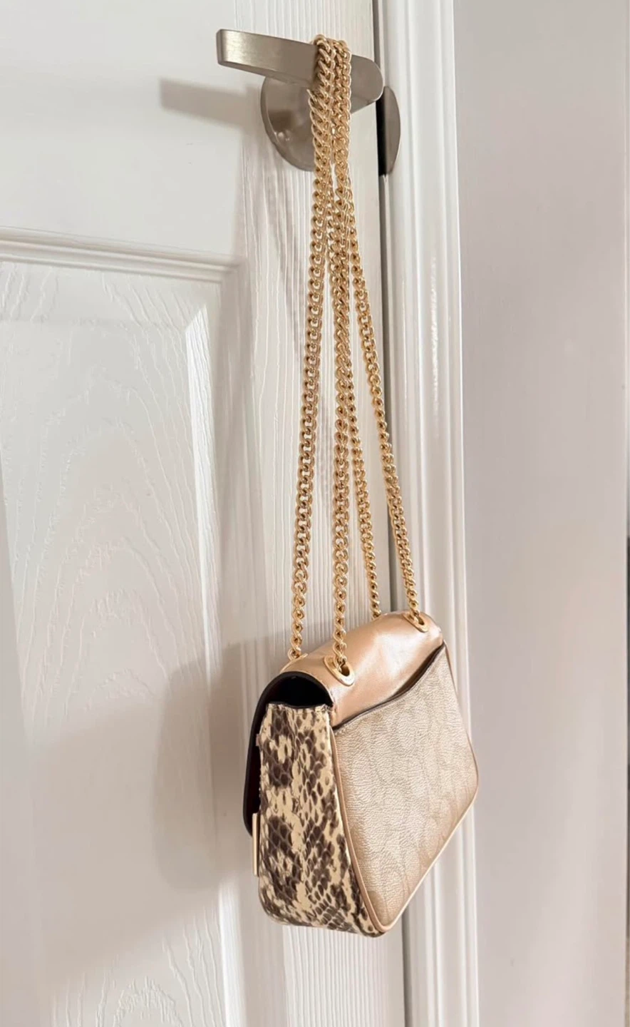 Coach Crossbody Bag with Signature Print and Snake Detail