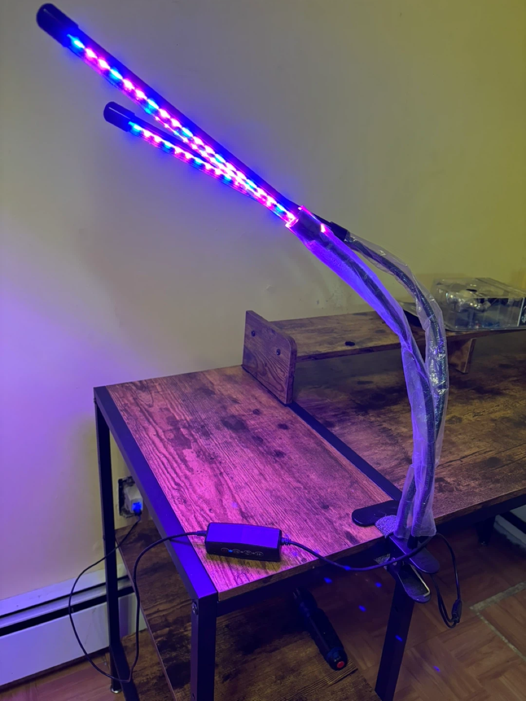 Adjustable Clip-On Grow Light with 2 Heads - photo 3