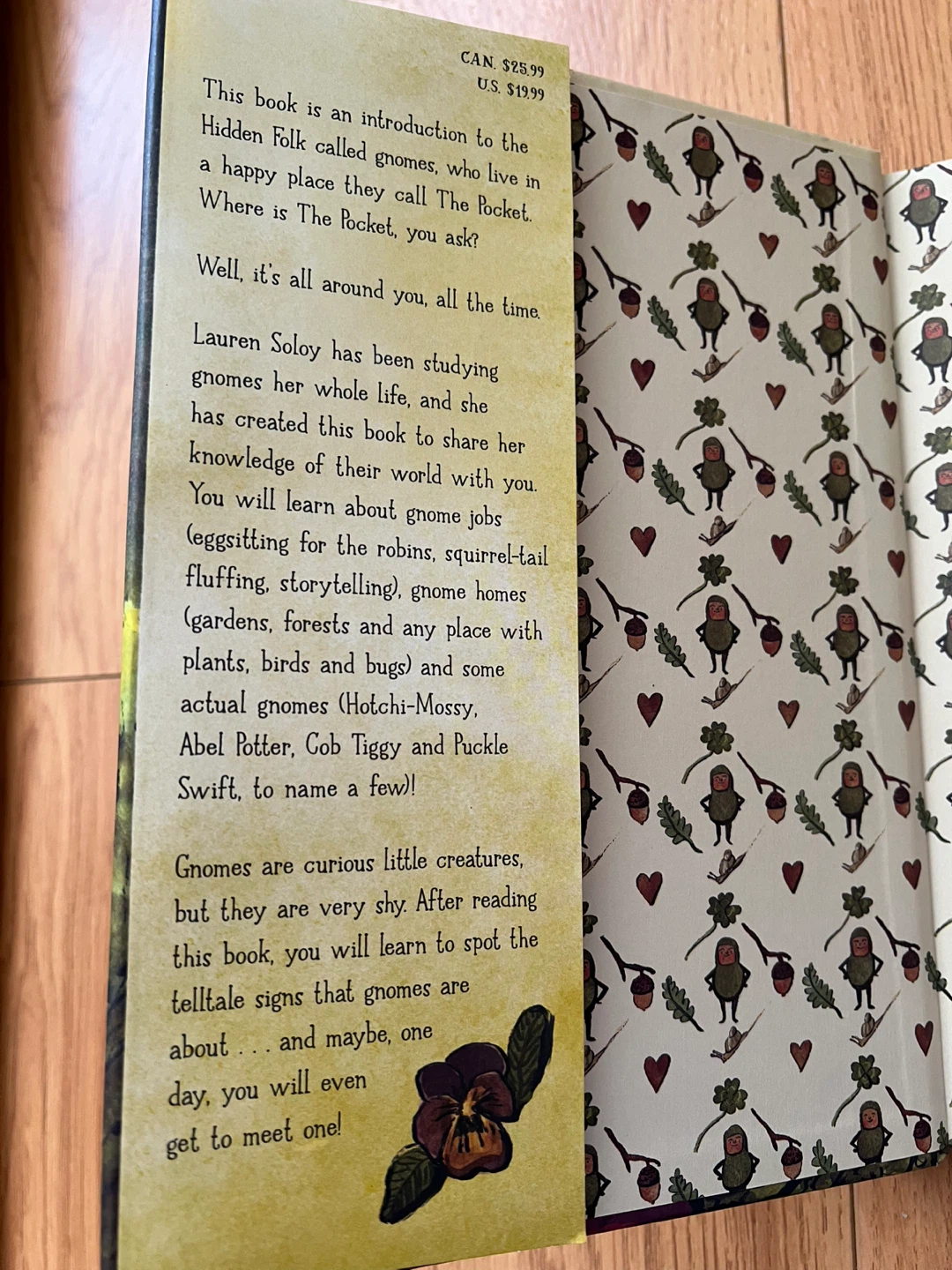 The Hidden World of Gnomes Book by Lauren Soloy - photo 2