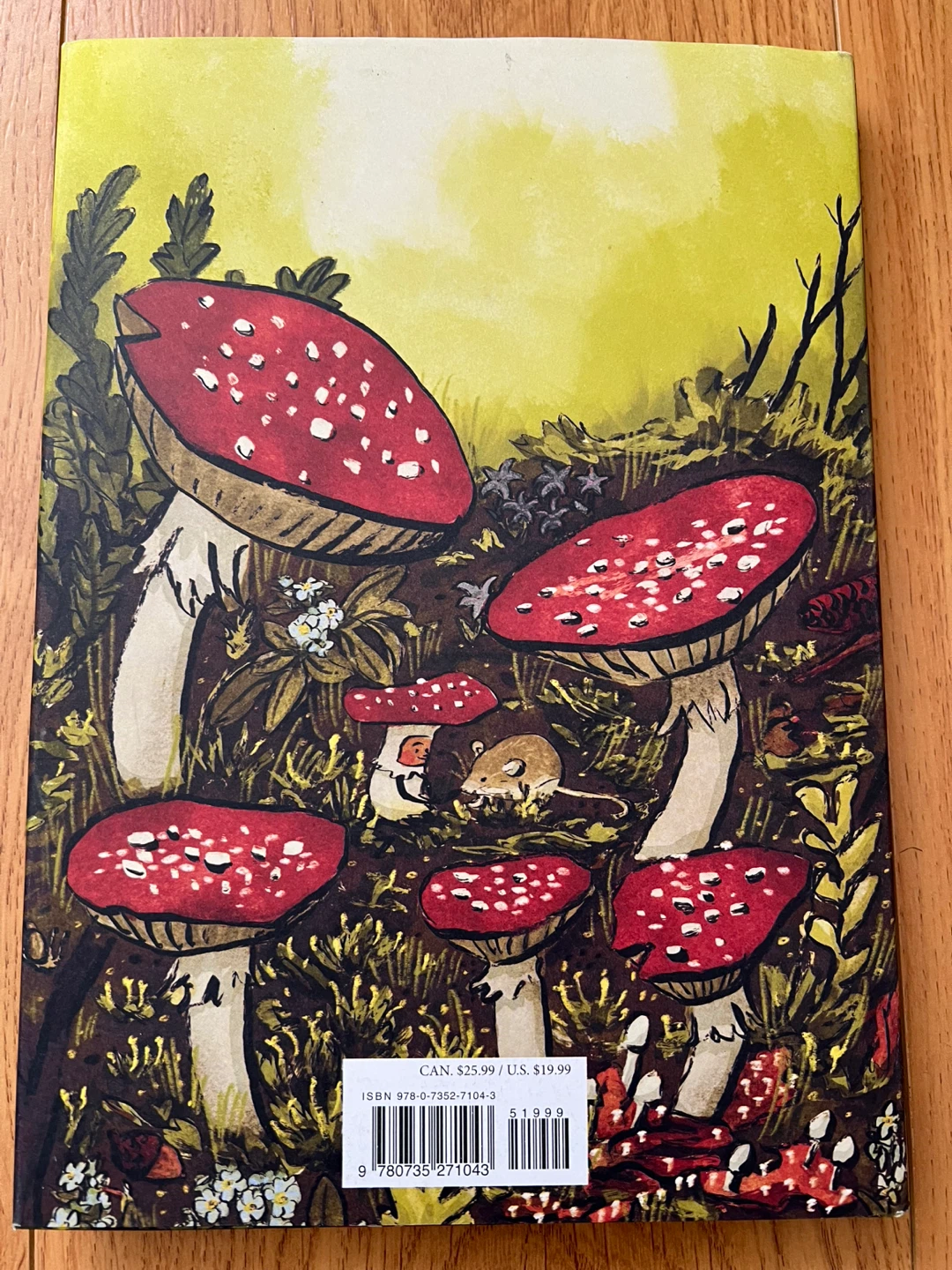 The Hidden World of Gnomes Book by Lauren Soloy - photo 3