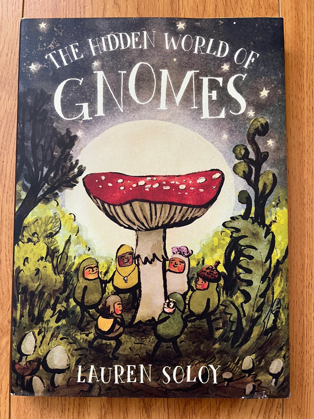 The Hidden World of Gnomes Book by Lauren Soloy