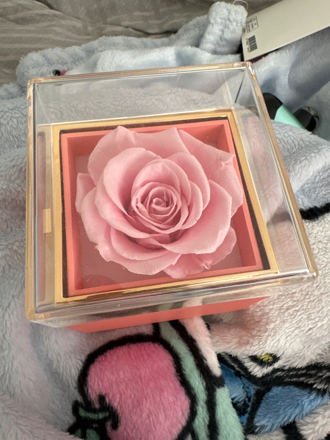 Pandora Star Pendant Necklace with Flower Box