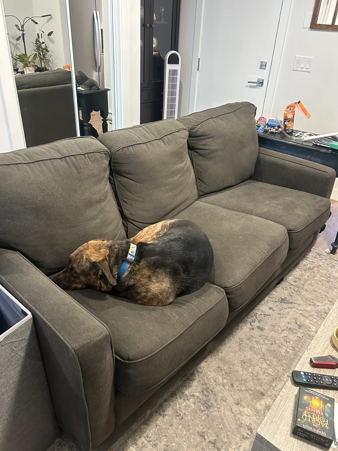 Dark Grey Fabric Sofa