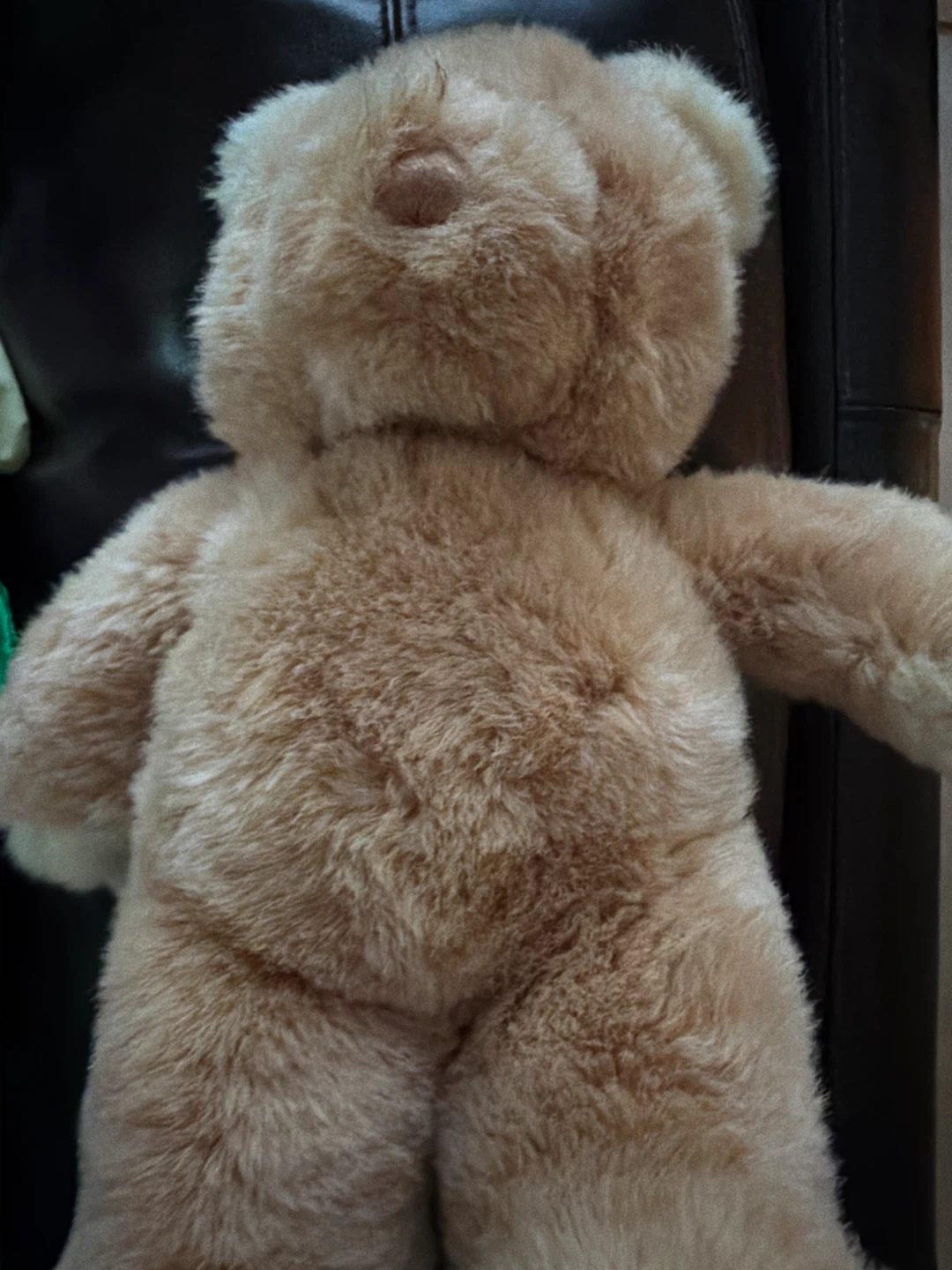 GUND Collector's Classic Teddy Bear