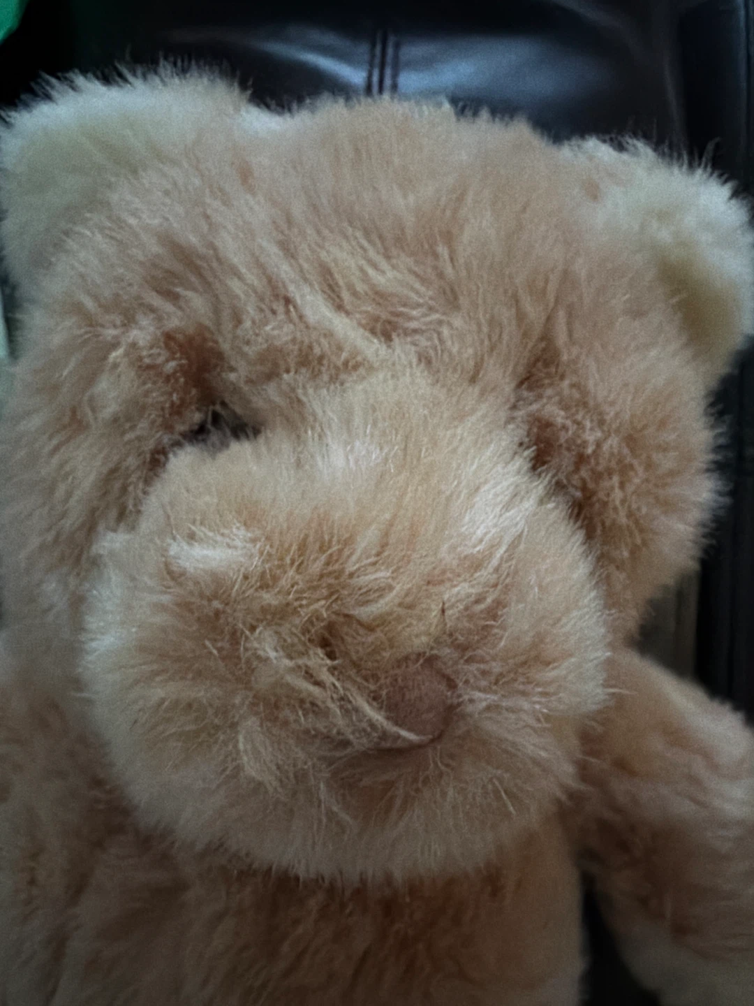 GUND Collector's Classic Teddy Bear - photo 4