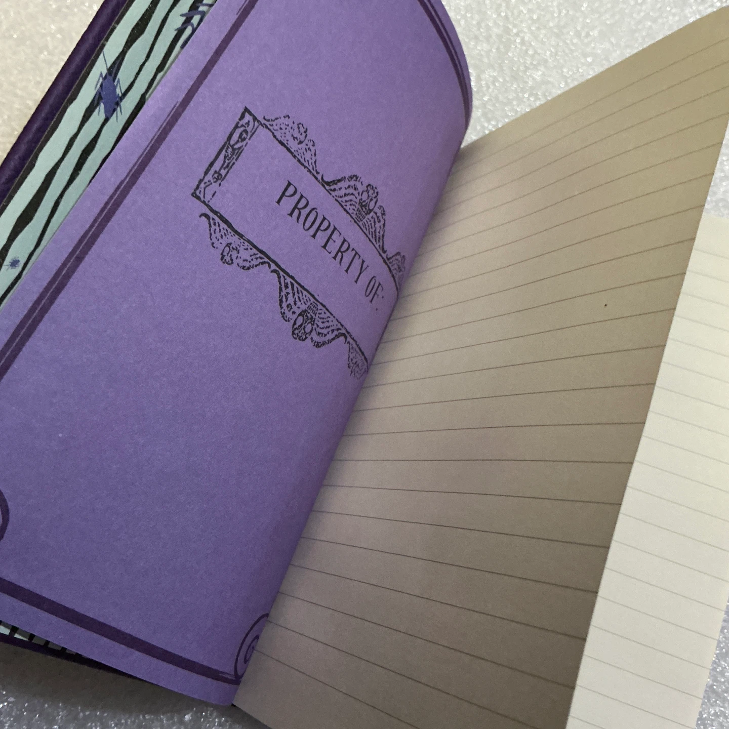 Beetlejuice Pocket Notebook - photo 3