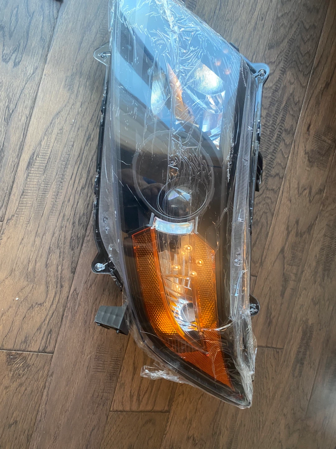 Pair of  Headlights Odyssey