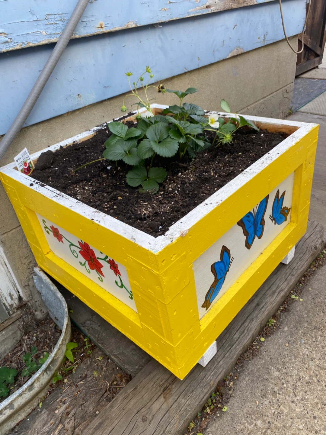 Wooden Planter Boxes - photo 2
