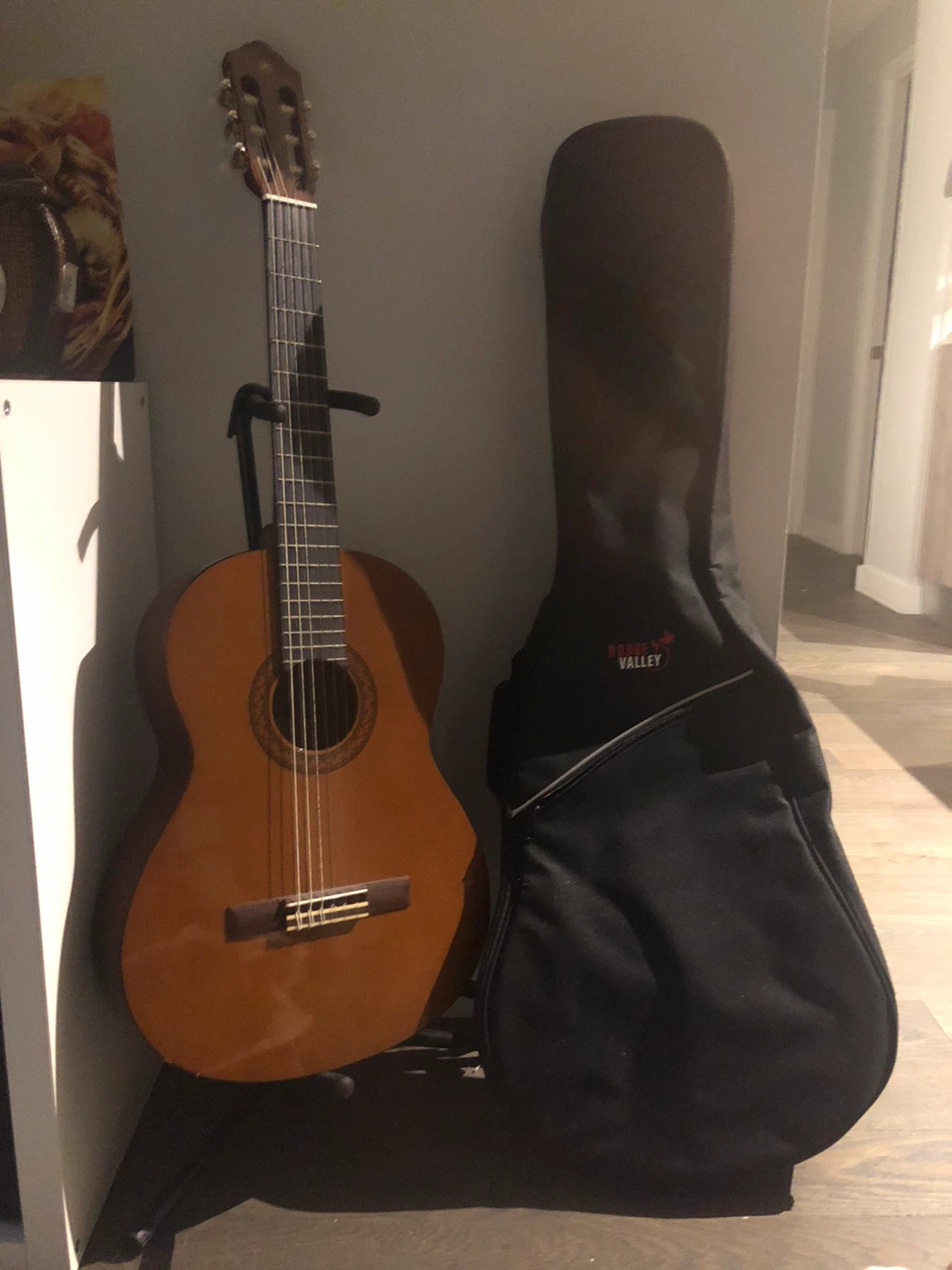 Classical Guitar with Gig Bag & stand