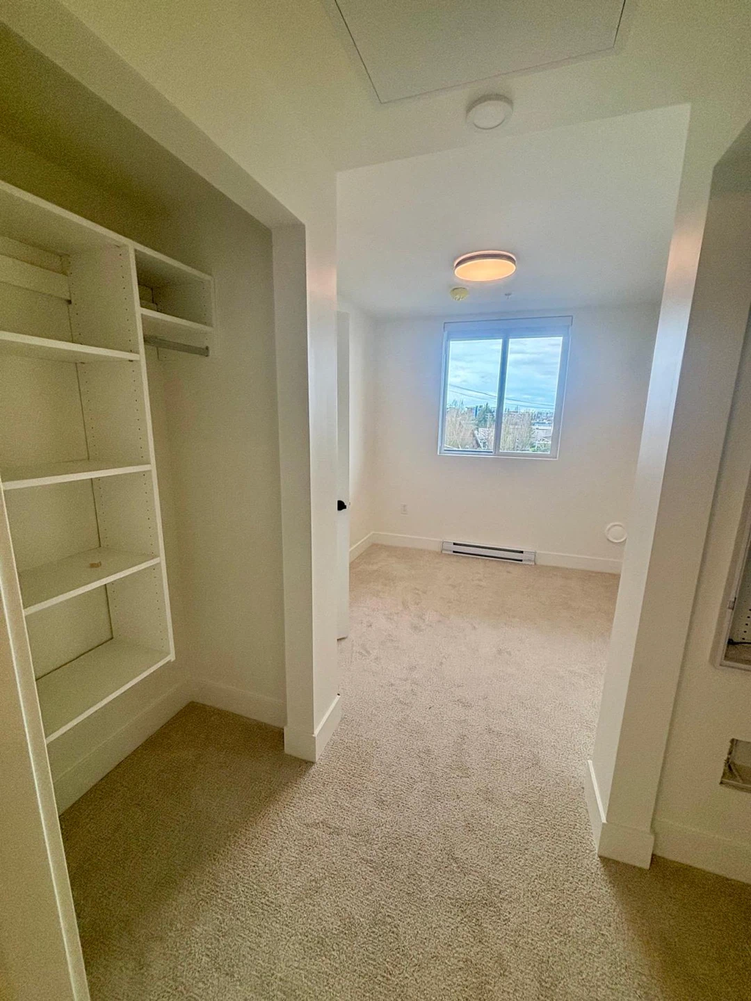 Brand New Apartment for Rent - Modern Kitchen and Bath - photo 4