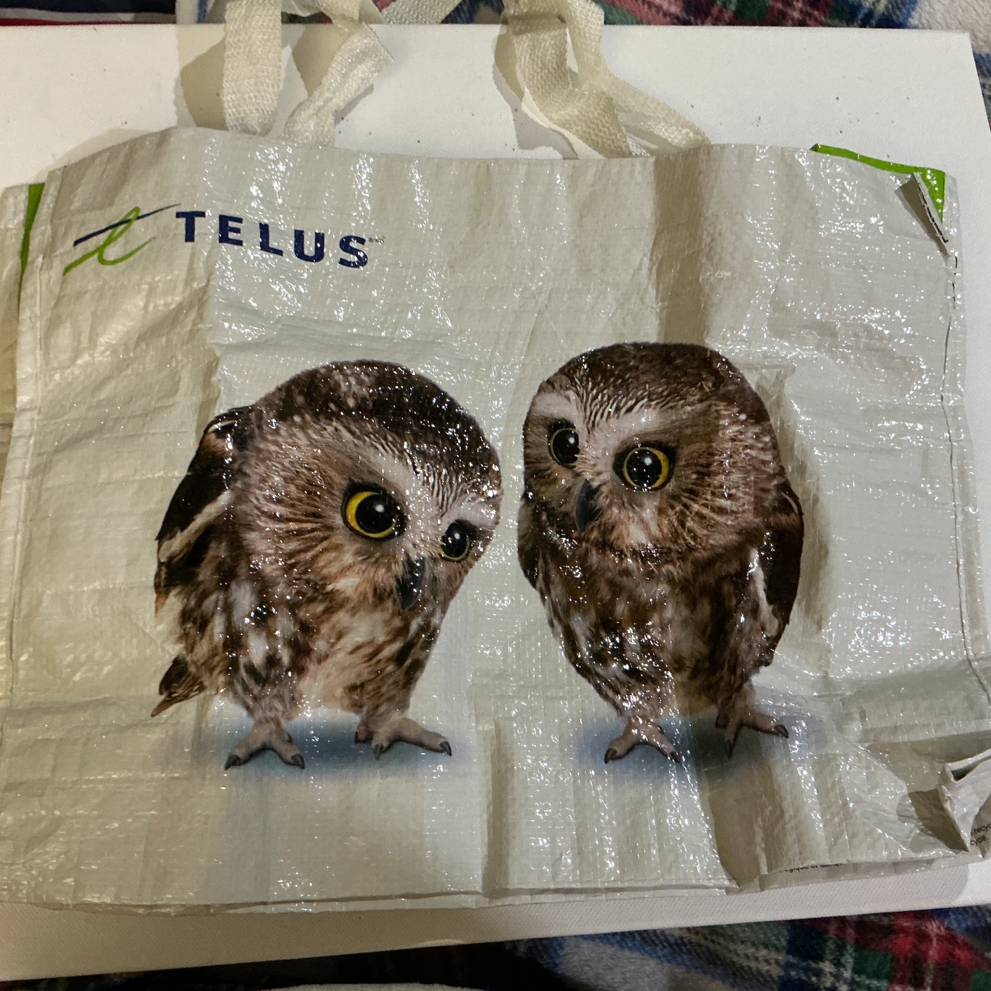 Owl reusable bags
