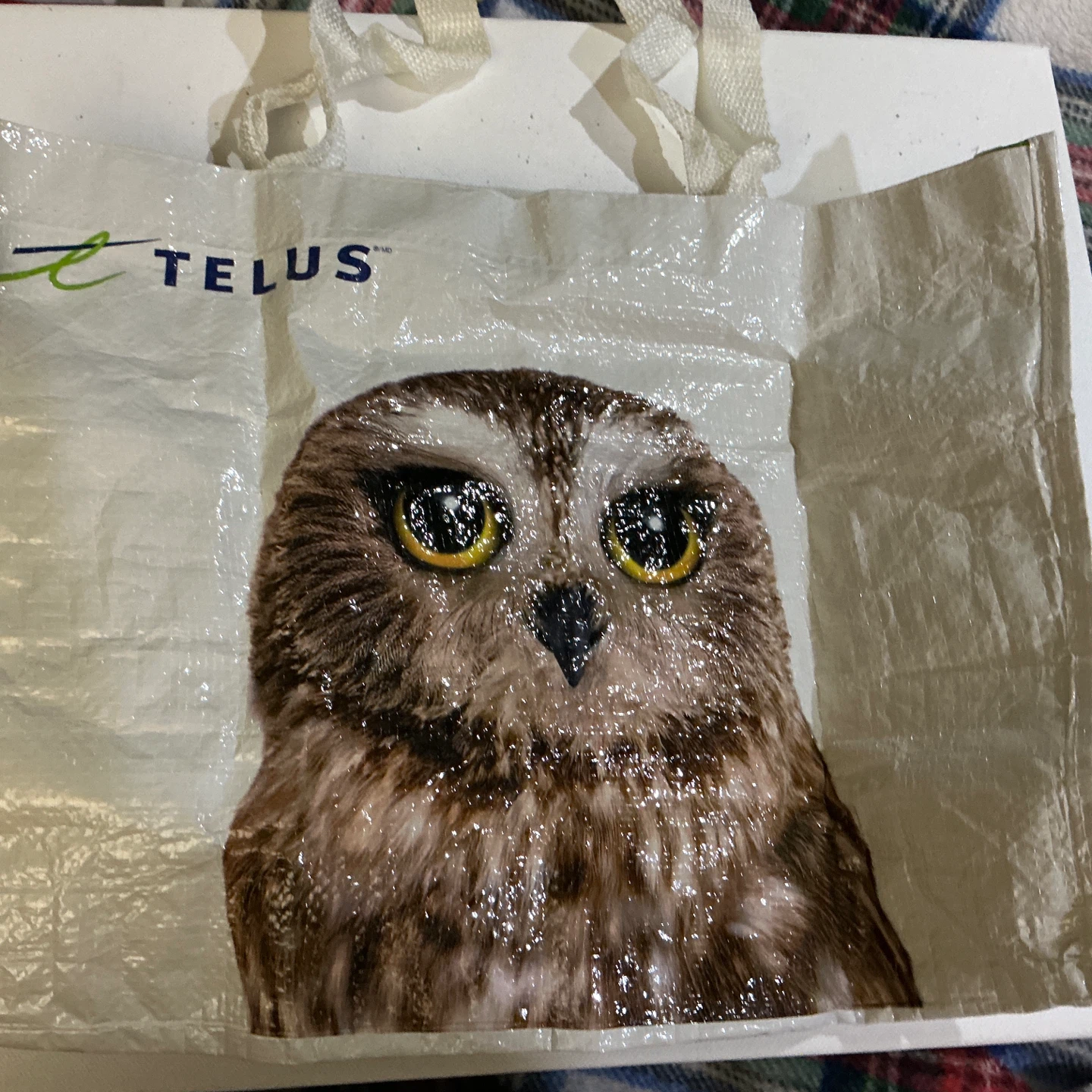 Owl reusable bags - photo 2