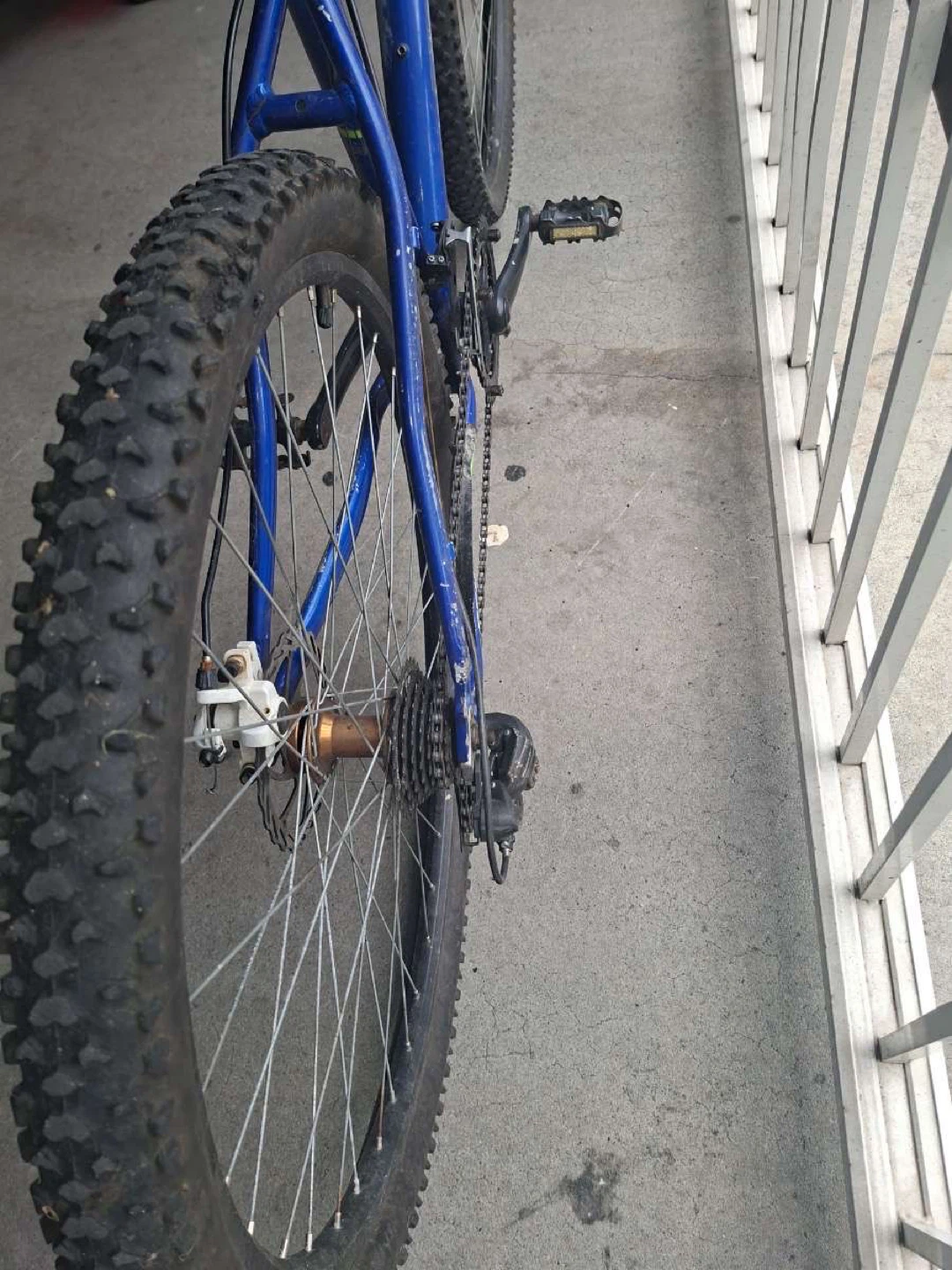 Blue Mountain Bike - photo 3