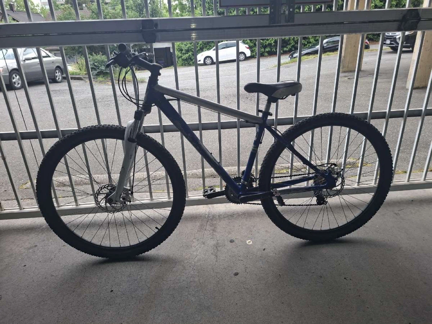 Blue Mountain Bike