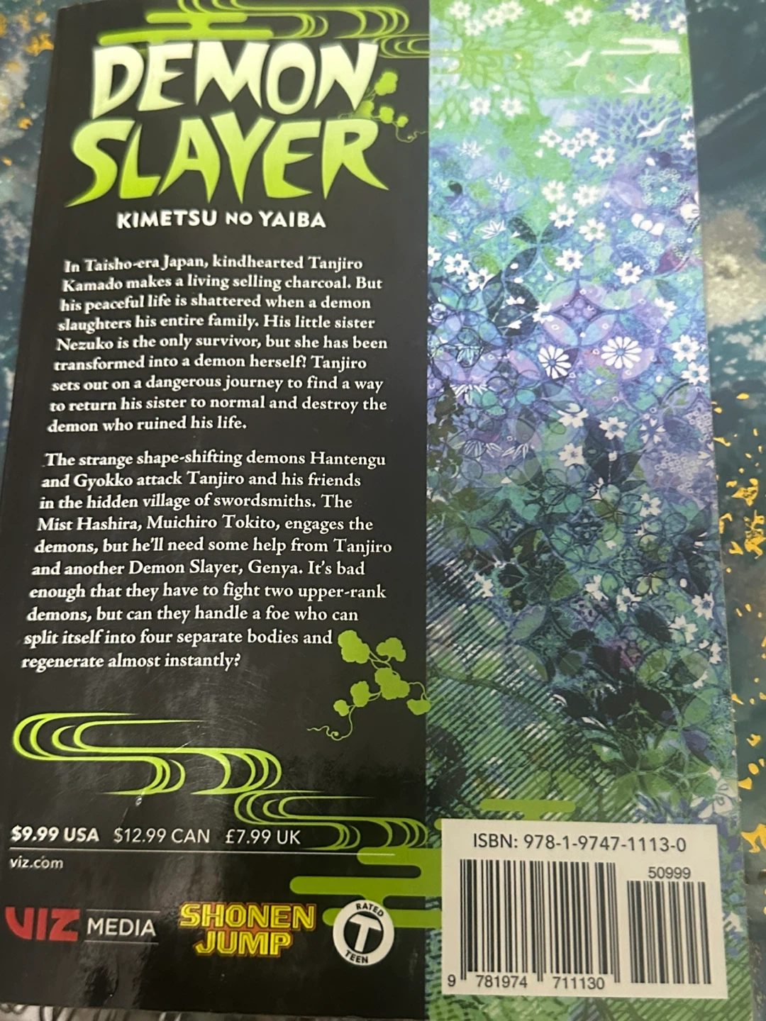Demon Slayer: Kimetsu no Yaiba Manga Volumes 13 & 18 - photo 5