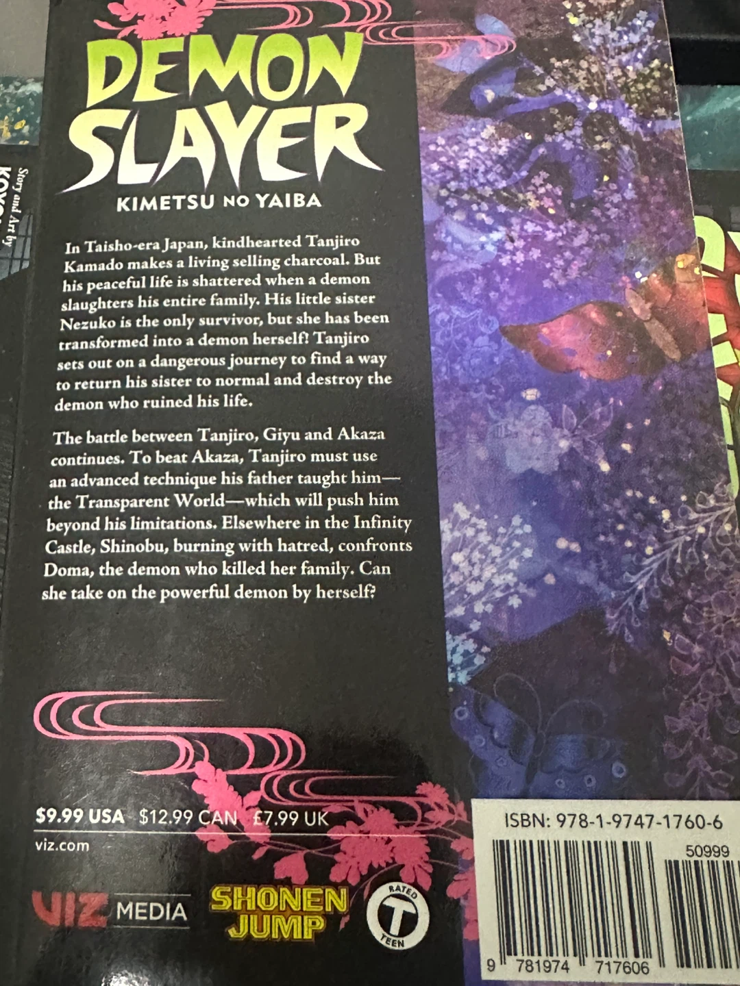 Demon Slayer: Kimetsu no Yaiba Manga Volumes 13 & 18 - photo 3