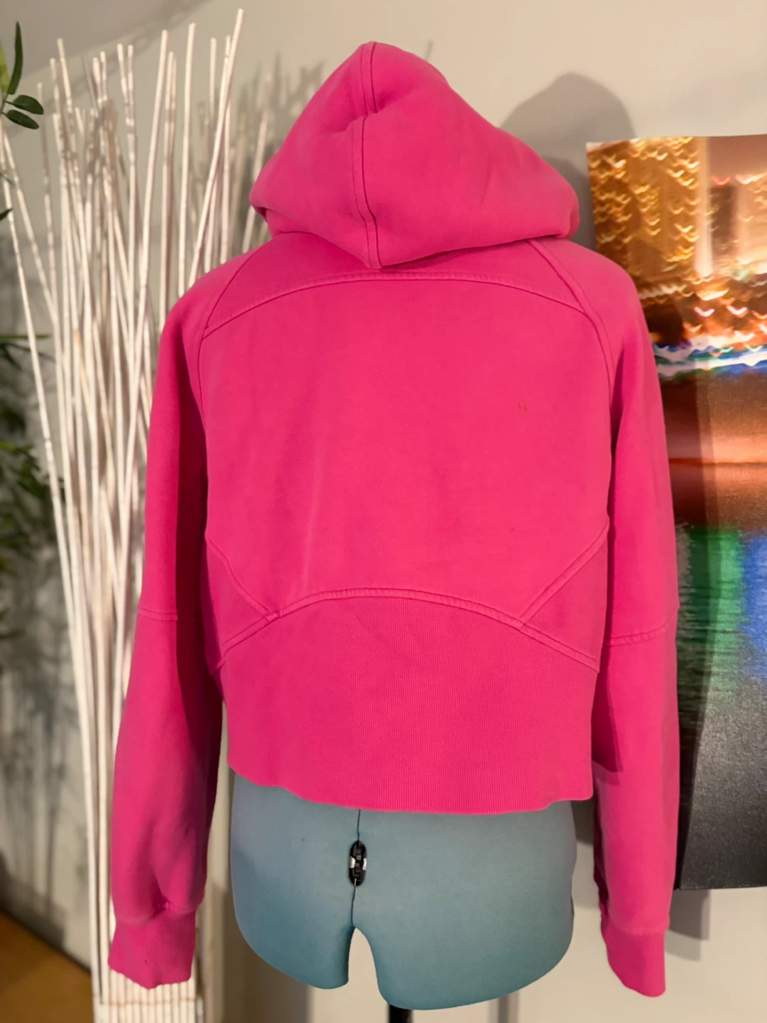 Lululemon Hot Pink Scuba Hoodie - photo 5