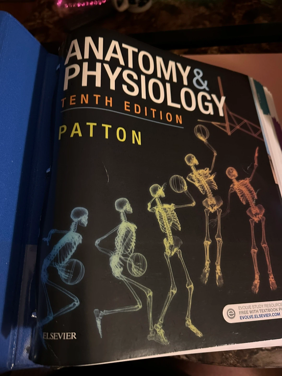 Anatomy & Physiology 10th Edition Textbook by Patton - photo 4
