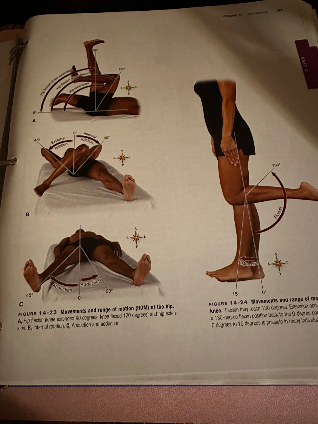 Anatomy & Physiology 10th Edition Textbook by Patton - photo 3