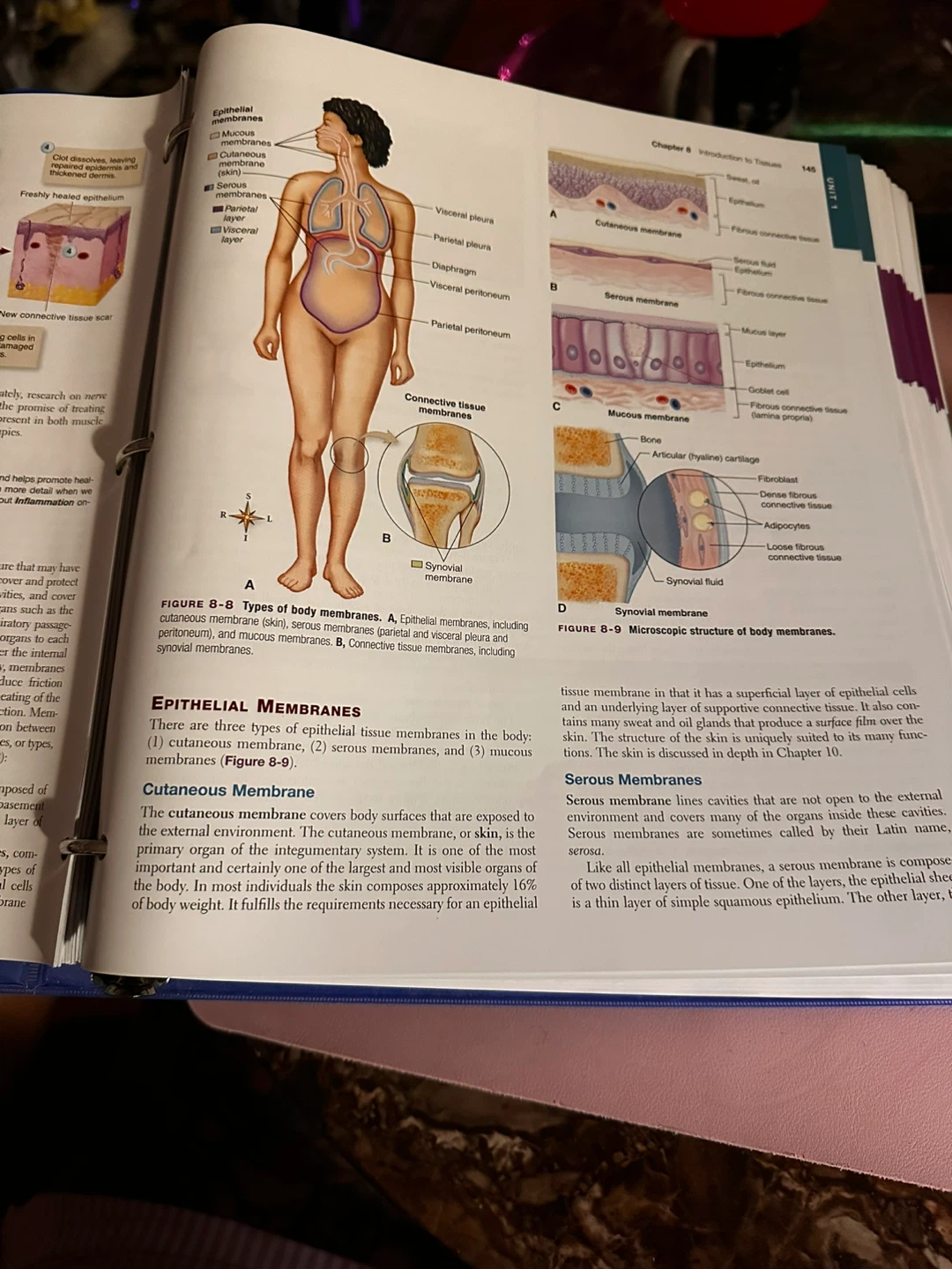 Anatomy & Physiology 10th Edition Textbook by Patton - photo 2