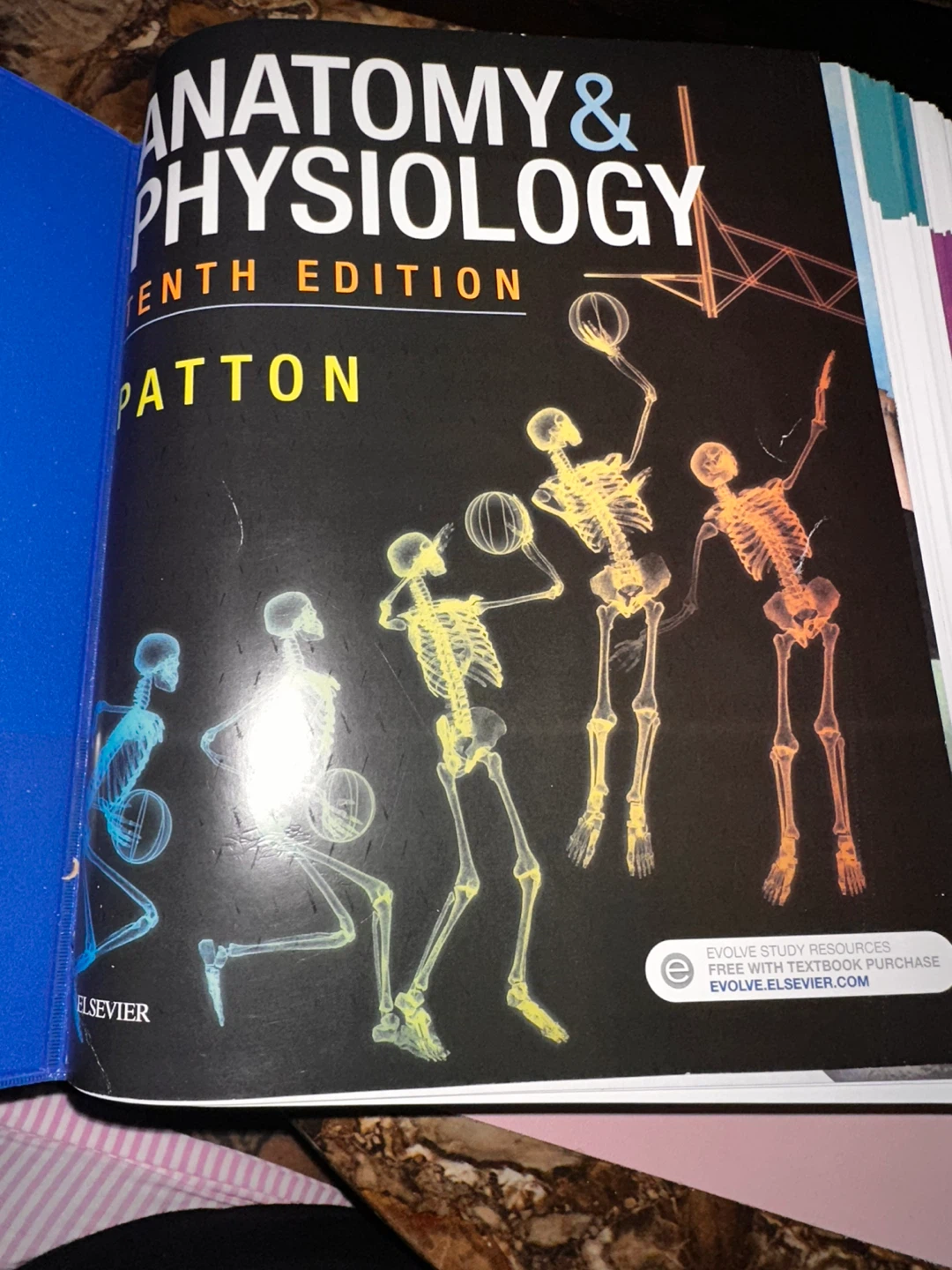 Anatomy & Physiology 10th Edition Textbook by Patton