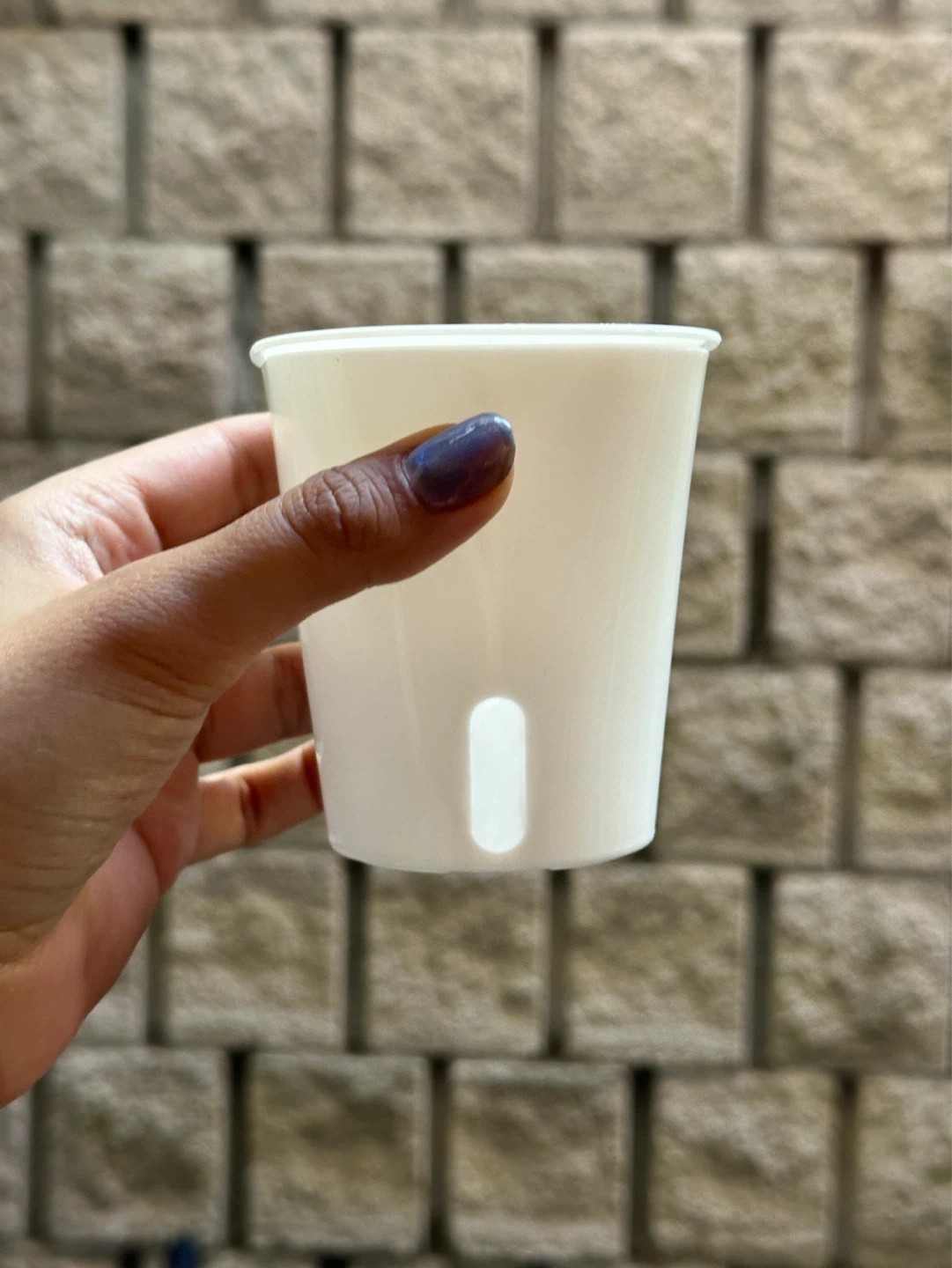 🆕 Self Watering Planter Set x10 - photo 2