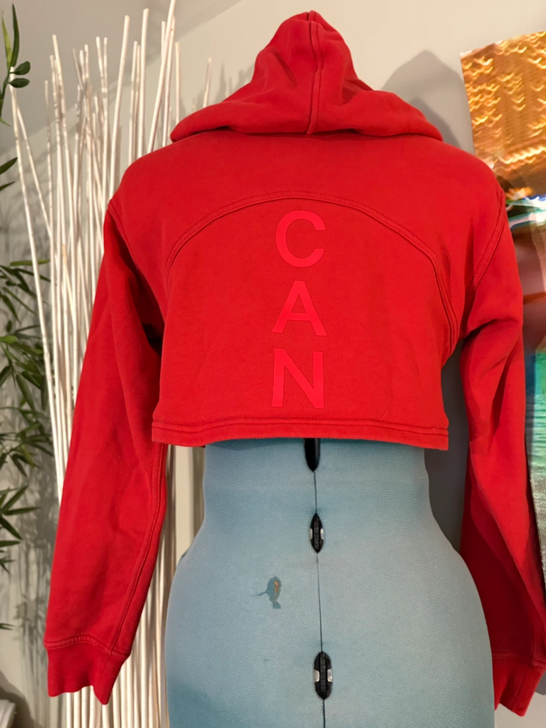 Red Cropped Hoodie with "CAN" and Canadian Flag Detail - photo 3