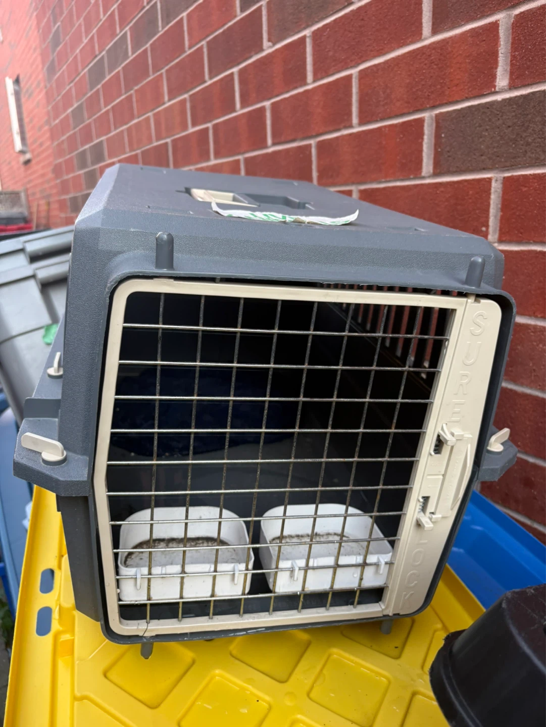 Sure Feed Pet Carrier