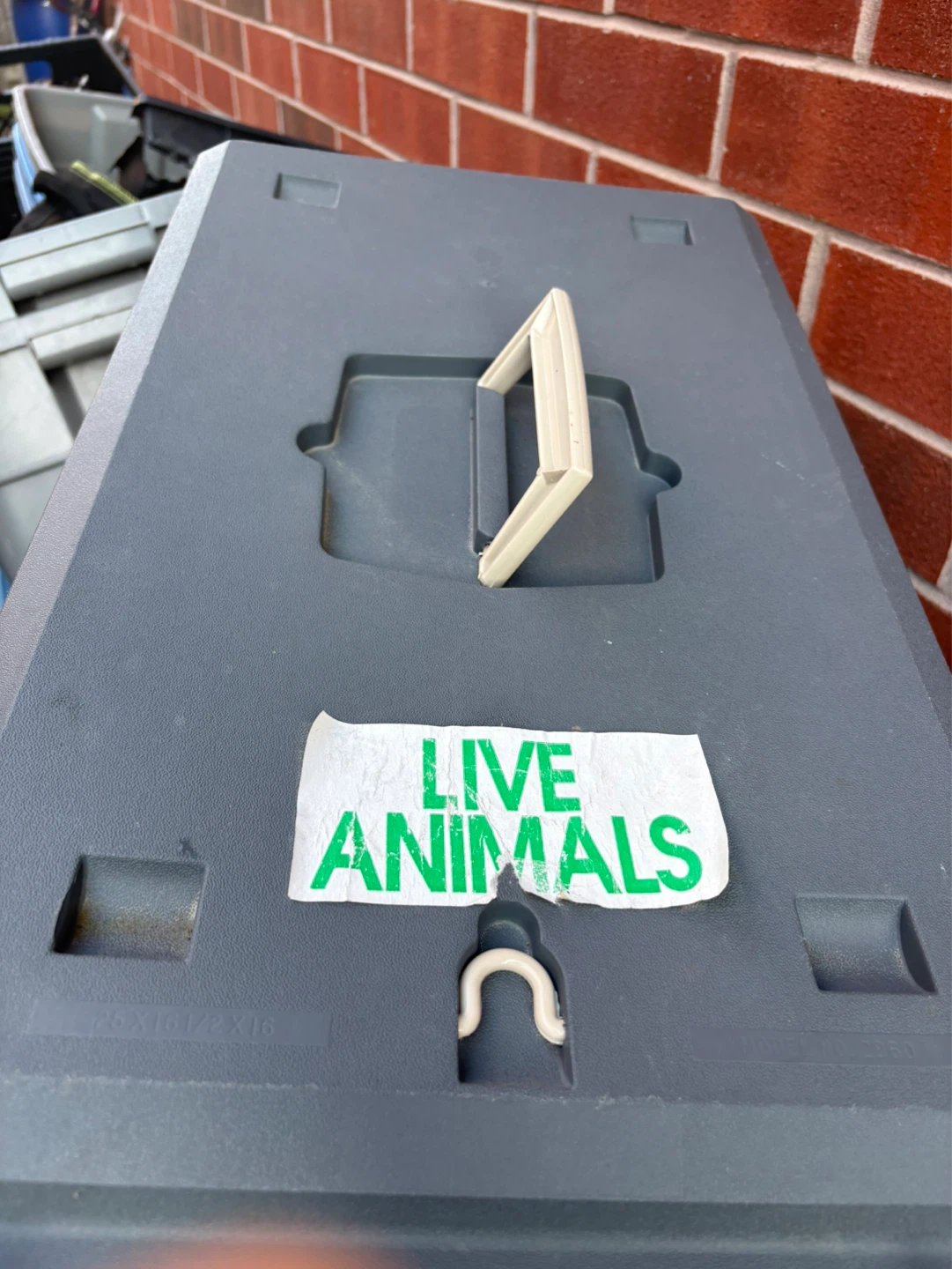 Sure Feed Pet Carrier - photo 4