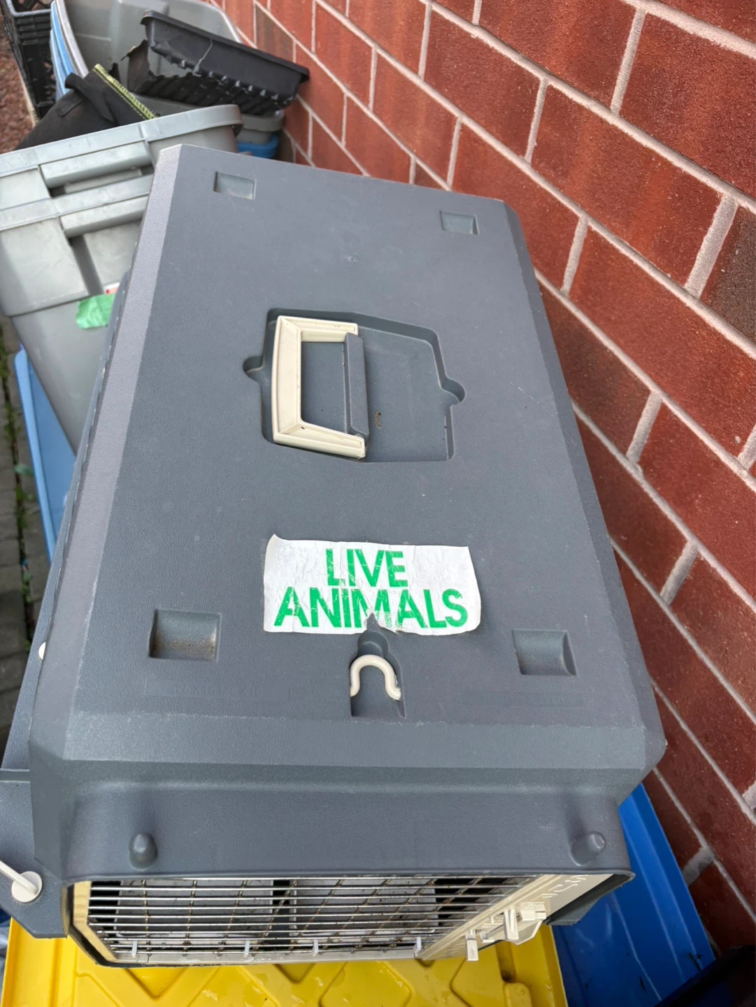 Sure Feed Pet Carrier - photo 2