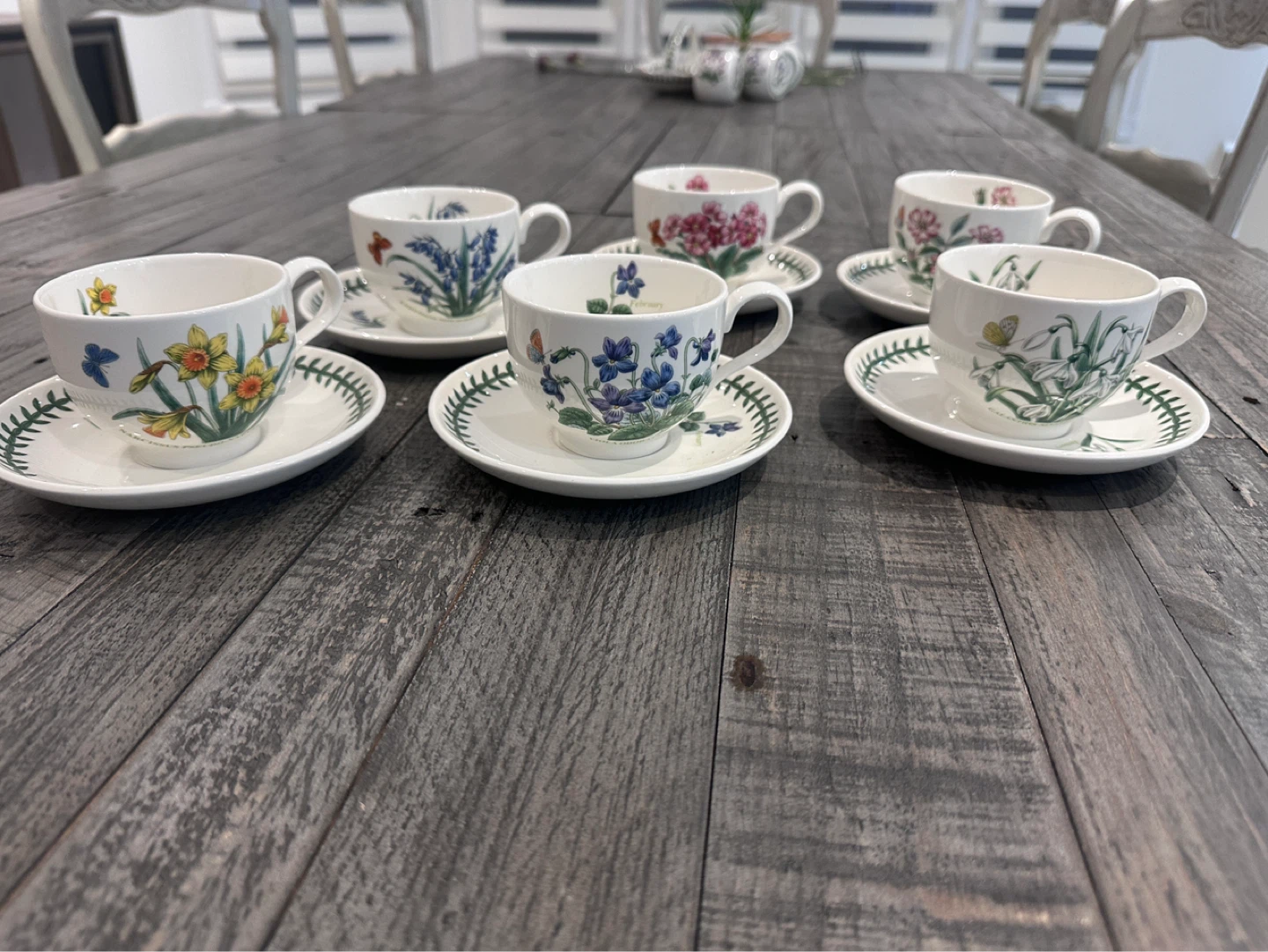 Portmeirion Botanic Garden Cups and Saucers Set