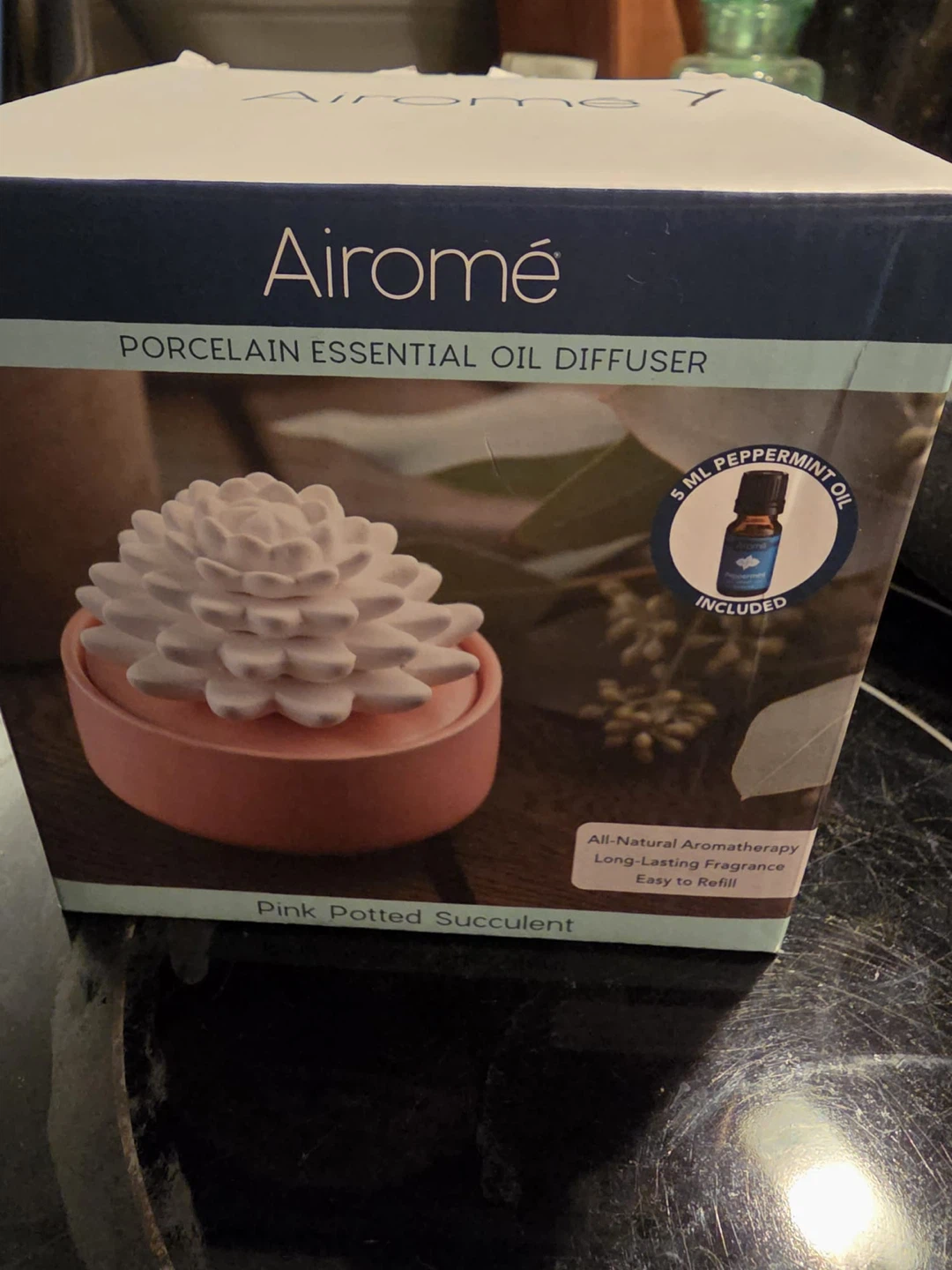Airome Porcelain Essential Oil Diffuser - Pink Potted Succulent